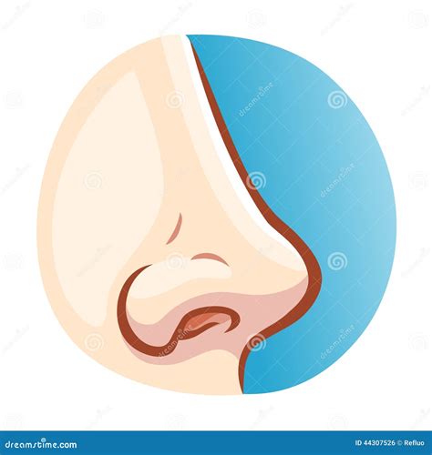 Naso dell'uomo illustrazione vettoriale. Illustrazione di medicina