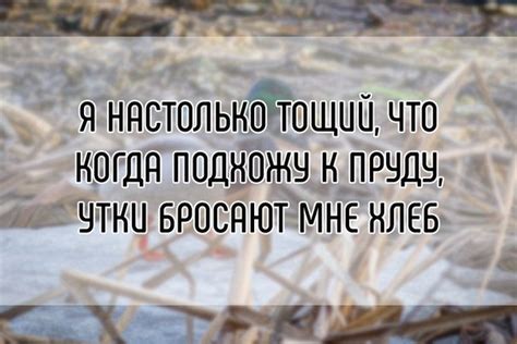 Пятничные анекдоты (13 шт) - 1. Если вам не хватает мотивации вставать ...
