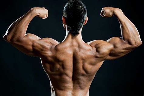 Anabolic Steroids: Uses, Abuse, and Side Effects - OK Easy Life