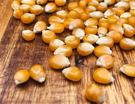 Corn - Popcorn seeds - Heirloom Seeds Canada