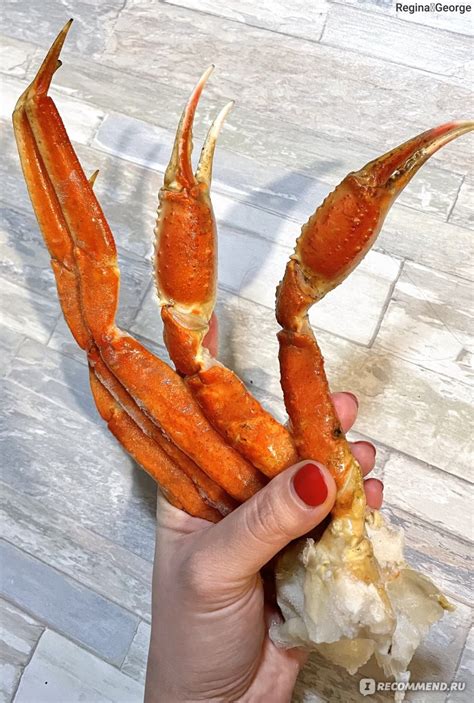 Морепродукты Новая Аляска Краб-Стригун Опилио Комплект конечностей в ...
