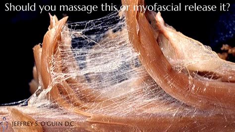 What is Myofacial Release?