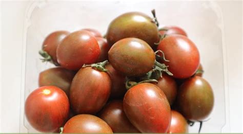 ca chua socola da lat hay  goi la ca chua cherry da lat
