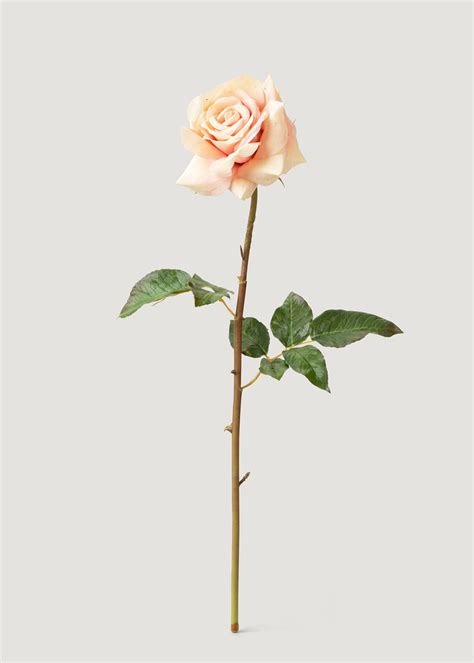 Mauve Real Touch Duchess Rose | Faux Wedding Flowers | Afloral