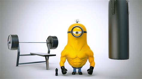 🔥 [150+] Funny Hd Wallpapers 1080p | WallpaperSafari