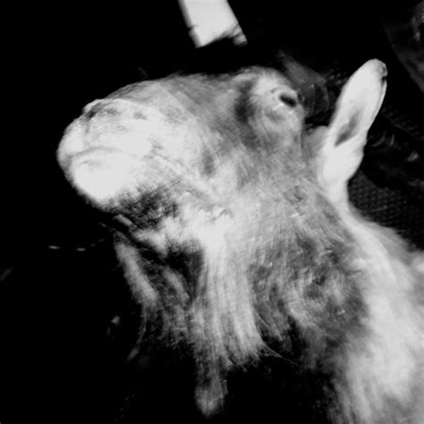 Haemorrhage Records | Brisbane QLD