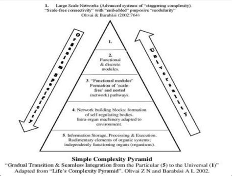 The "Complexity Pyramid" showing progression from simple to complex