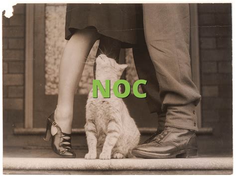 NOC » Slang.org