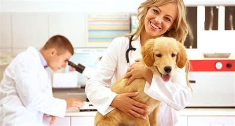 Taber Pet Clinic - About us
