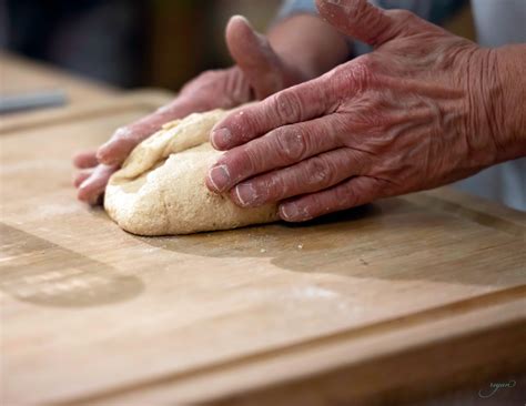 myrtle beach bookings and releases 5