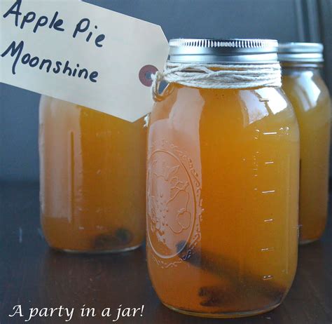 Easiest Way to Make Apple Pie Moonshine Logo