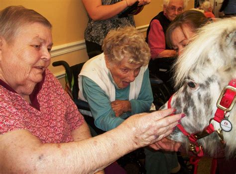 St. Francis Rehabilitation and Nursing Center | Laconia NH