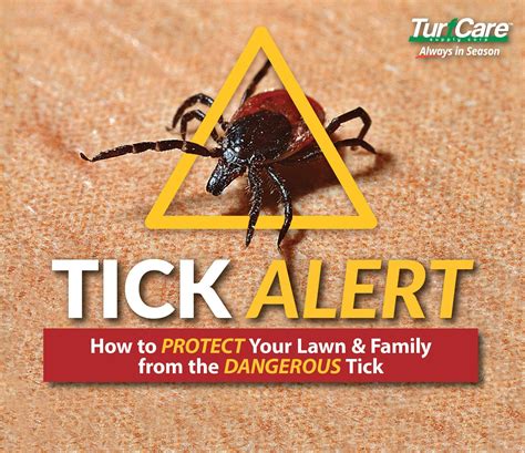 TICK ALERT: How To Protect Your Lawn & Family from the Dangerous Tick
