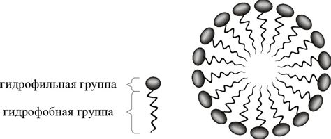 мицелла