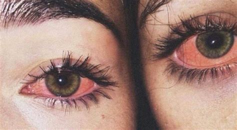 life hacks      high merry jane