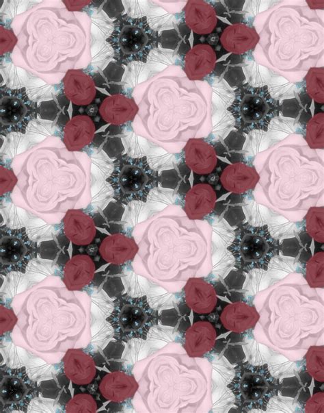 HHS Digital Photography: Hand-Tinted Rose Tessellation