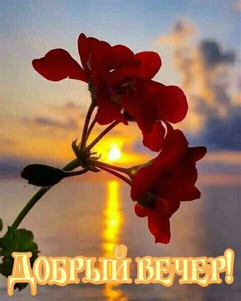 Pin by Натали Григерман on А кому открытки? Сделаю любые | Good morning ...