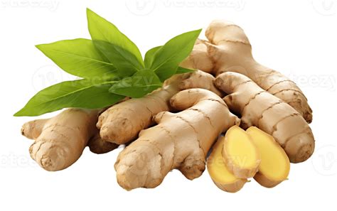 gingembre png pour telechargement gratuit