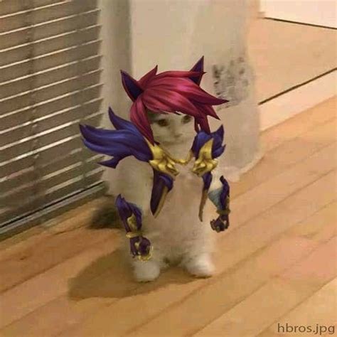 Sett standing cat pfp | Canavarlar, Çizimler, Lol