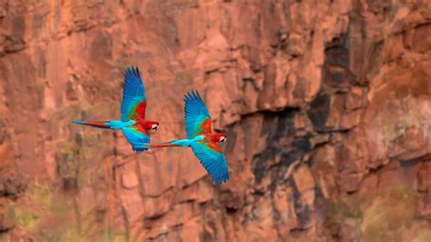 Bing Wallpaper Archive