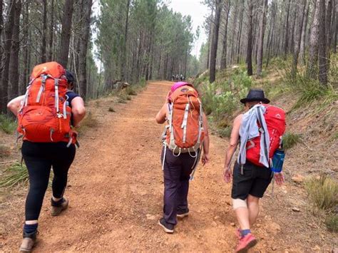 correct   position  adjust  backpack