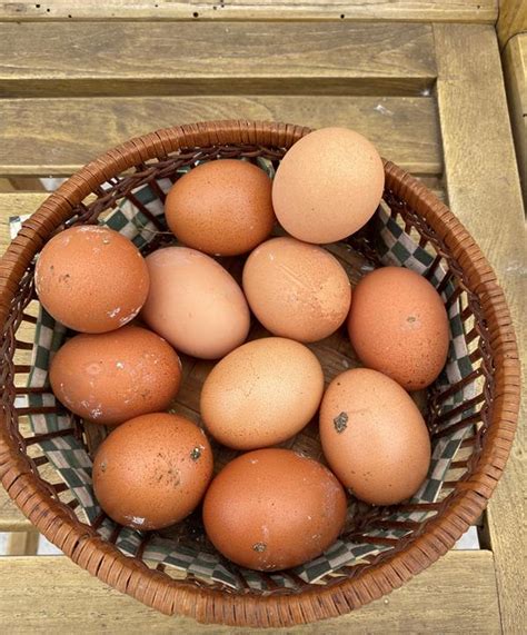 O Que E Ovos Galados - Ovos galados, Preço: 0,21 €/emb | Loja da Reforma Agrária