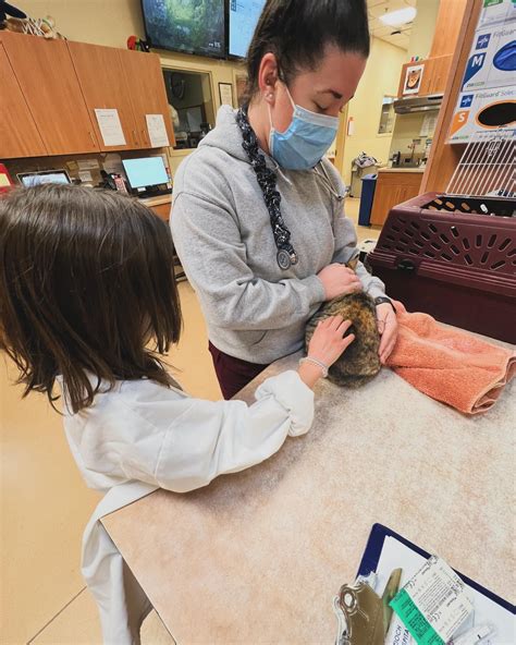 Antioch Veterinary Hospital