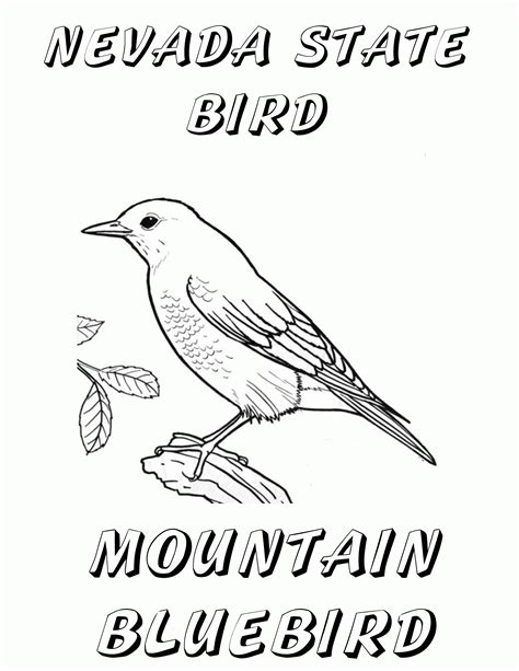 Wisconsinstate Bird Coloring Page - Coloring Home