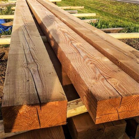Exploring the Top 7 Types of Softwood for Woodworking