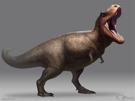 Tyrannosaurus[nb 1] is a genus of large theropod dinosaur. The species ...