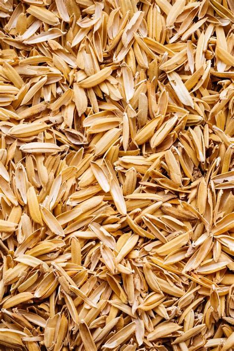 rice husk harmain globals