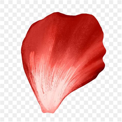 petal petal
