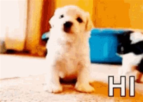 gif   wave