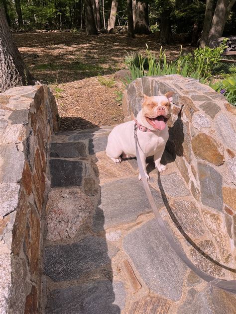 Gallery | christianasansone | VSCO