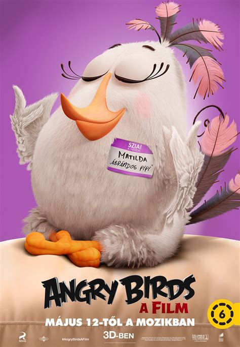 The Angry Birds Movie DVD Release Date | Redbox, Netflix, iTunes, Amazon