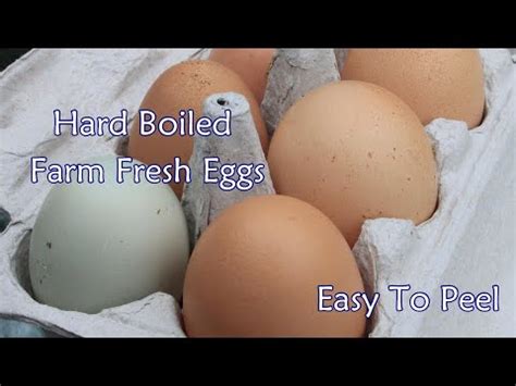 How to Hard Boil Fresh Farm Eggs with Baking Soda? – ACHIVX