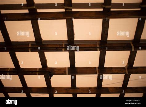 roof  roof   planks interior details ceiling  lattice