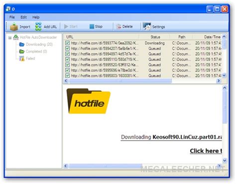 hotfile auto downloader fully automatic downloads  hotfile
