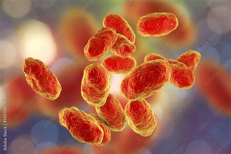 Haemophilus influenzae bacteria, 3D illustration. Gram-negative ...