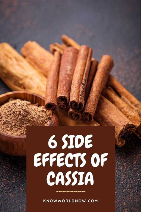 Cassia Cinnamon Side Effects- All You Need to Know - Know World Now ...