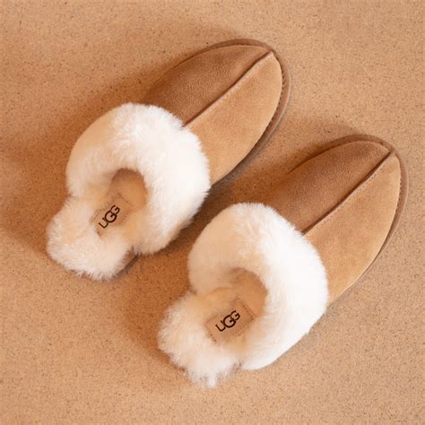 how to wash ugg slippers 6