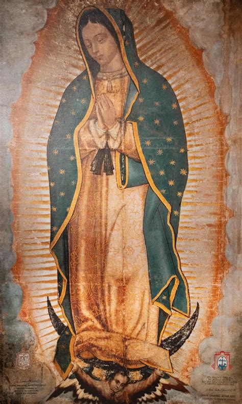 zelda characters artwork  lady  guadalupe symbols  lady