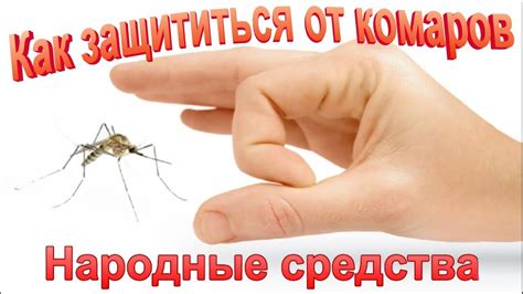 Как защититься от комаров. Народные средства. - YouTube