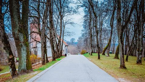 11 Amazing Things You'll Enjoy in Latvia - Globelink.co.uk