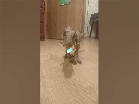 ЛАЙК ГОВН - YouTube