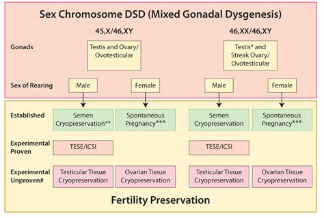 Disorders of Sex Development—Novel Regulators, Impacts on Fertility