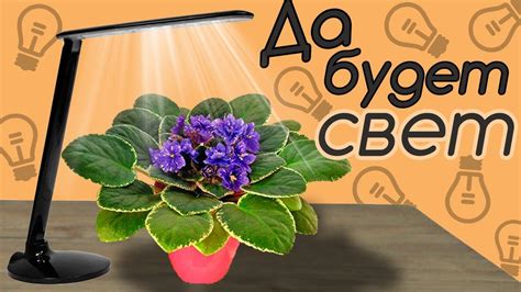 Освещение для фиалок! Мои наблюдения и советы! - YouTube