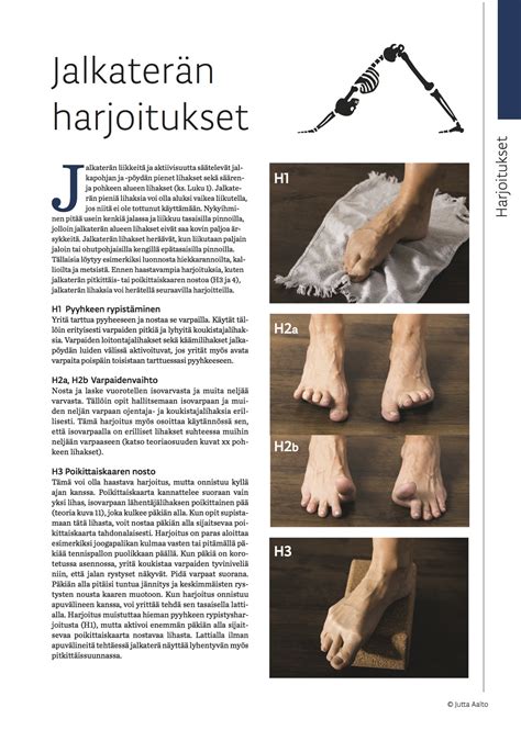 Anatomia ja kehotietoisuus - Kokemuksellisen anatomian opas - Anatomia ...