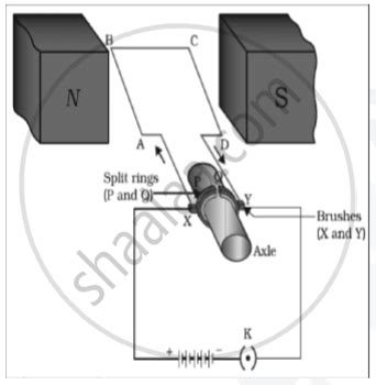 Draw a Labelled Diagram of an Electric Motor. - Science | Shaalaa.com