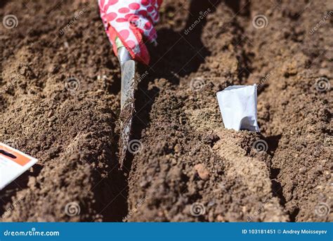 Soil Preparation for Seeding Stock Image - Image of level, australia ...